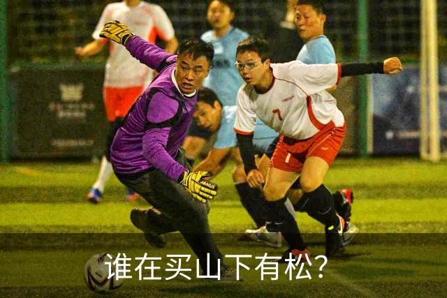 谁在买山下有松？
